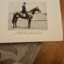 Hunting,showing And Chasing. With Chapters On Hunting Trials And Breaking And Making A Hunter Colt. By Sam Marsh. Hardback In Fair Condition. See Photos For Same. Image 9