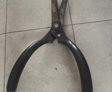 Garden shears