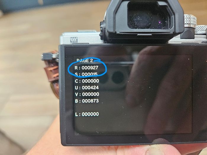 Olympus E-M10 II camera
