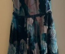 Coast Dress (Size 10)