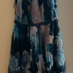 Coast Dress (Size 10)