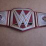 WWE Universal Champion Wrestling Kids Belt 2014 Mattel Championship Belt Toy Image 6