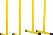 brand new set of dip bars