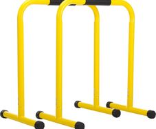 brand new set of dip bars