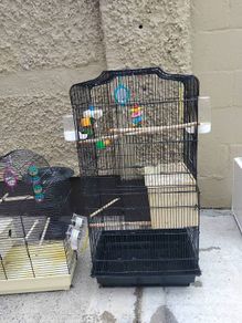bird cage