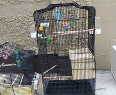 bird cage
