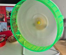 Small pet exercise wheel. Very good condition, about 33 cm tall. I used it for my pet hedgehog but suitable for any small pets