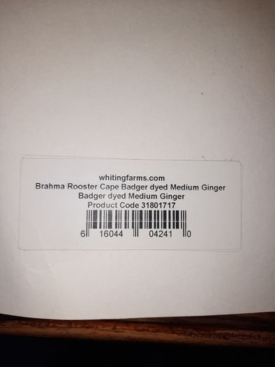 Whiting bramha rooster capes