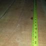 Douglas fir for trailer floor etc Image 6
