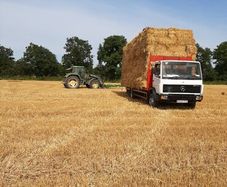Small Square Bales Barley Straw