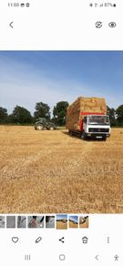 Small Square Bales Barley Straw