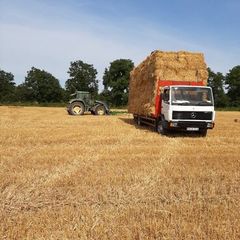 Small Square Bales Barley Straw