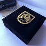 Destiny 2 - Almighty seal pin. Rare and Retired Image 3