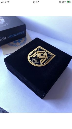 Destiny 2 - Almighty seal pin. Rare and Retired