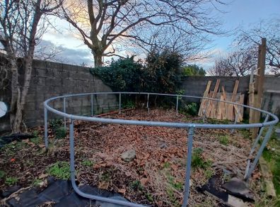 Trampoline Free