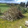 free logs Image 6