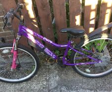 Girls bike