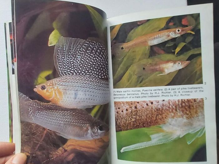 Tropical Fish and Aquarium Books