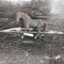 Schleich horses x 11 Image 5