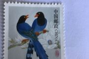 China stamp - Birds