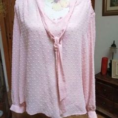 Ladies pale pink blouse, New with tags.