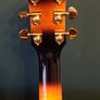 Harley Benton Custom Line King-CE VS Image 4