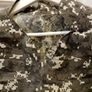 Army dress up vest Image 4