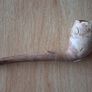 Lot of vintage clay pipes and pipe bowls Image 9