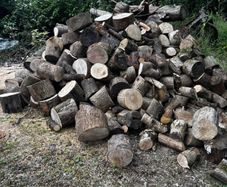 Firewood
