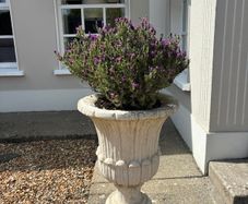 Garden pots