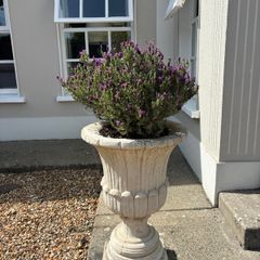 Garden pots