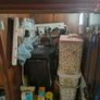 Large Aquarium for Sale Image 3