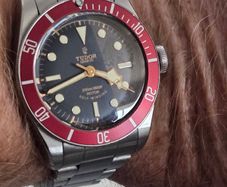 Tudor Black Bay