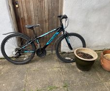 Imagine bike