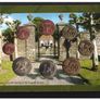 2005 Ireland Central Bank Uncirculated Coin Set Heywood Gardens, Co. Laois. Ideal Birthday Gift. Image 5