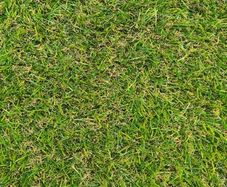 45mm artificial grass