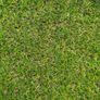 New 45mm artificial grass Image 3