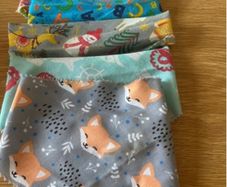 5 Dog Bandanas