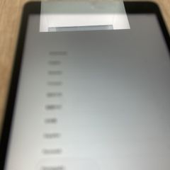 iPad Mini 2