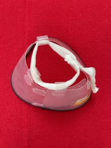 pet collar