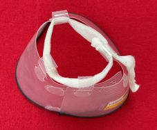 pet collar