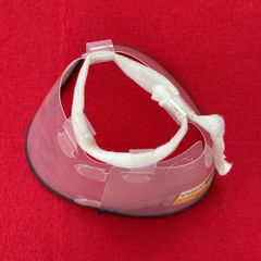 pet collar