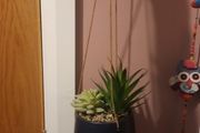faux hanging plant