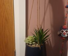 faux hanging plant