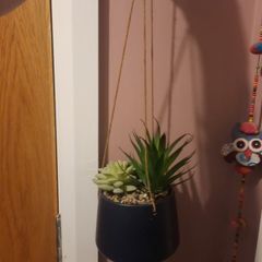 faux hanging plant