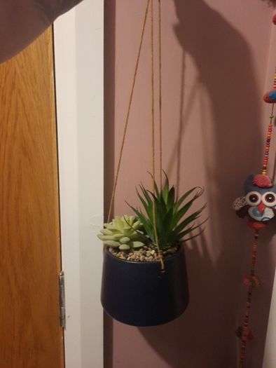 faux hanging plant
