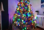 woodies 7ftchristmas tree