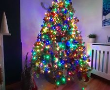 woodies 7ftchristmas tree