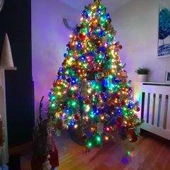 woodies 7ftchristmas tree
