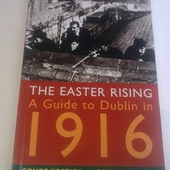 The Easter Rising A guide to Dublin in 1916 Ireland Irish History IRA